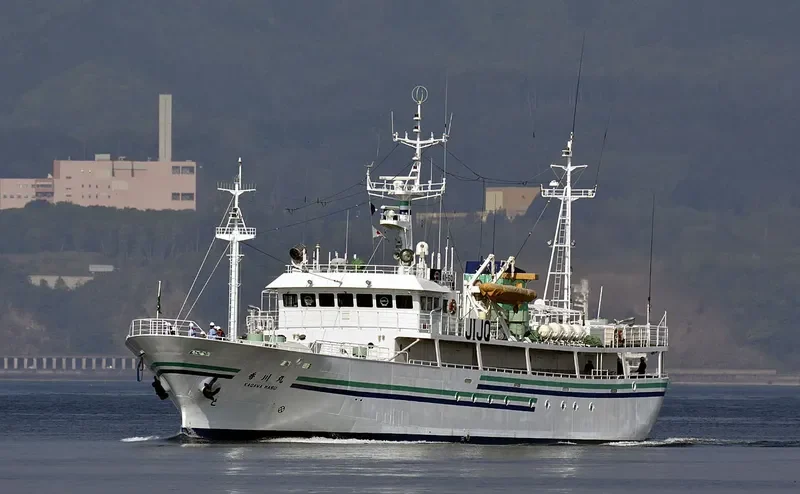 ALTYN General Cargo IMO 9185114 photo 2
