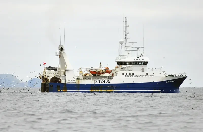 RAW SPIRIT General Cargo IMO 9185188