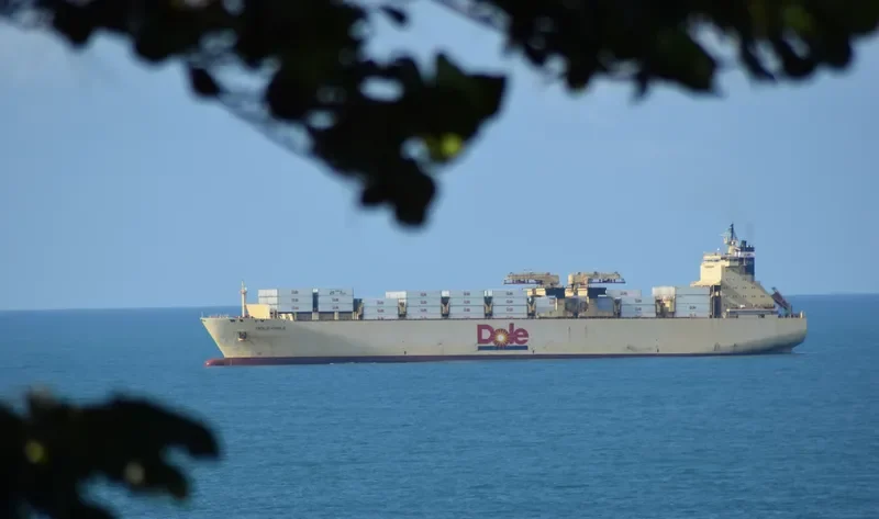 DOLE CHILE Container Ship IMO 9185281 photo 4