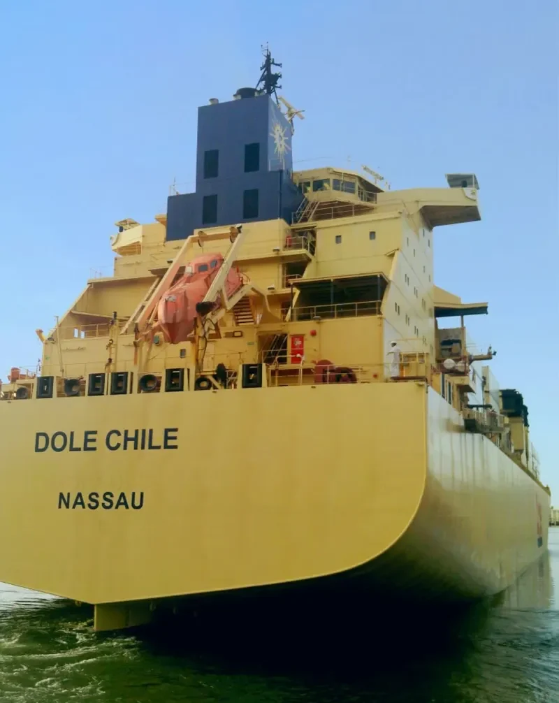 DOLE CHILE Container Ship IMO 9185281 photo 5