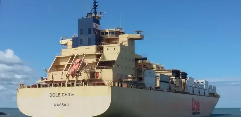 DOLE CHILE Container Ship IMO 9185281 photo 6