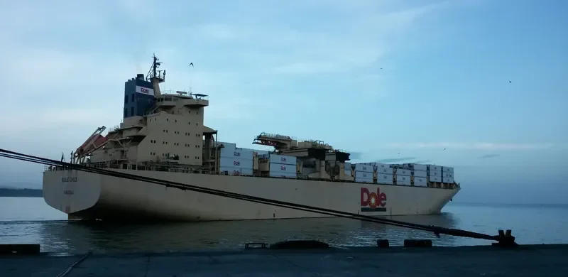 DOLE CHILE Container Ship IMO 9185281 photo 7
