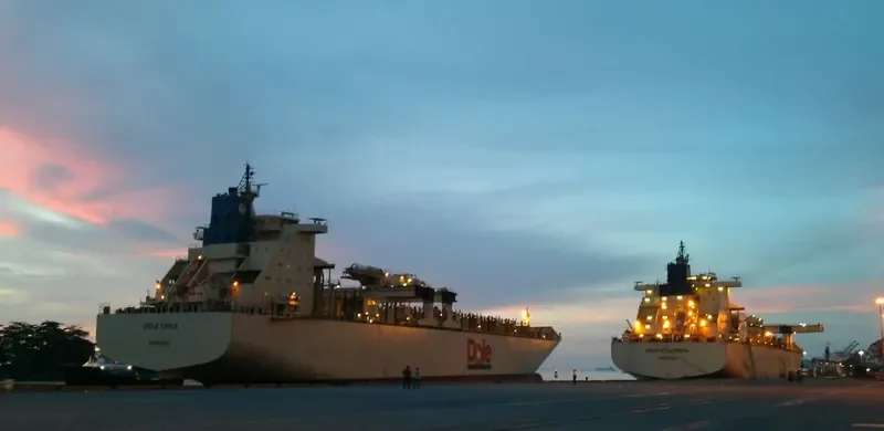 DOLE CHILE Container Ship IMO 9185281 photo 10