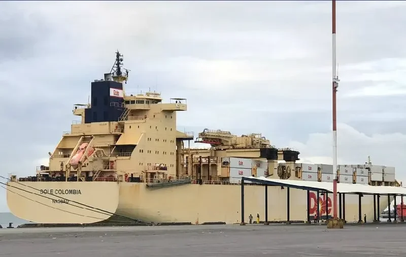 DOLE COLOMBIA Container Ship IMO 9185293