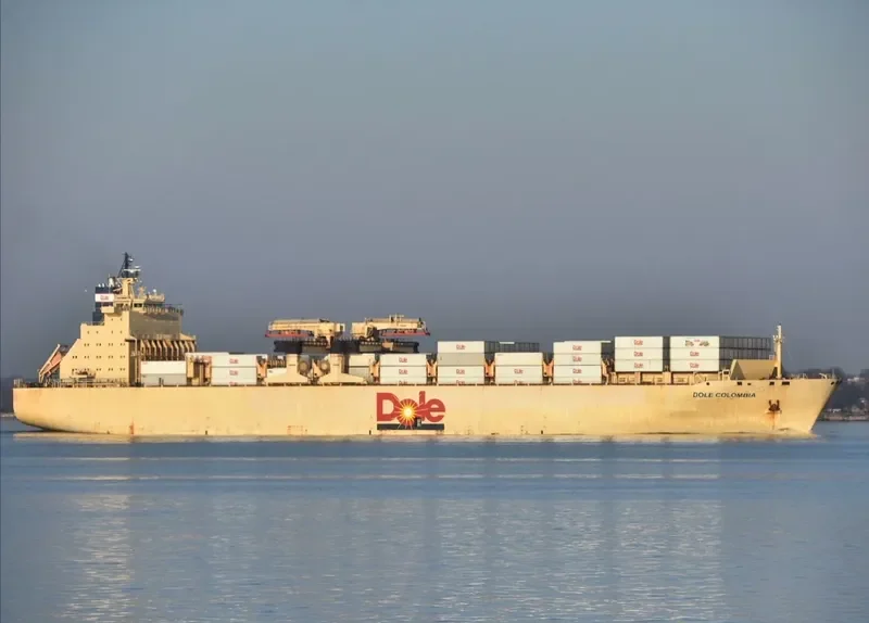 DOLE COLOMBIA Container Ship IMO 9185293 photo 2