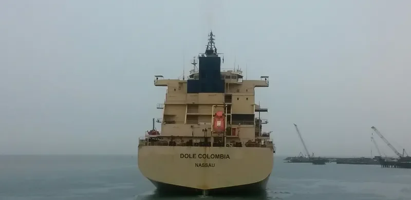 DOLE COLOMBIA Container Ship IMO 9185293 photo 3