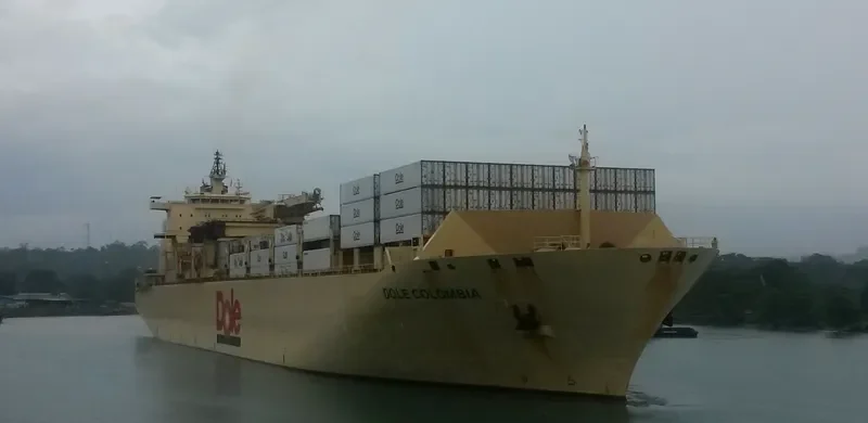 DOLE COLOMBIA Container Ship IMO 9185293 photo 4