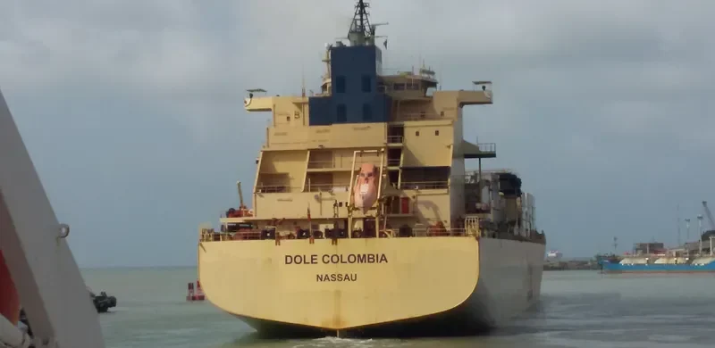 DOLE COLOMBIA Container Ship IMO 9185293 photo 5
