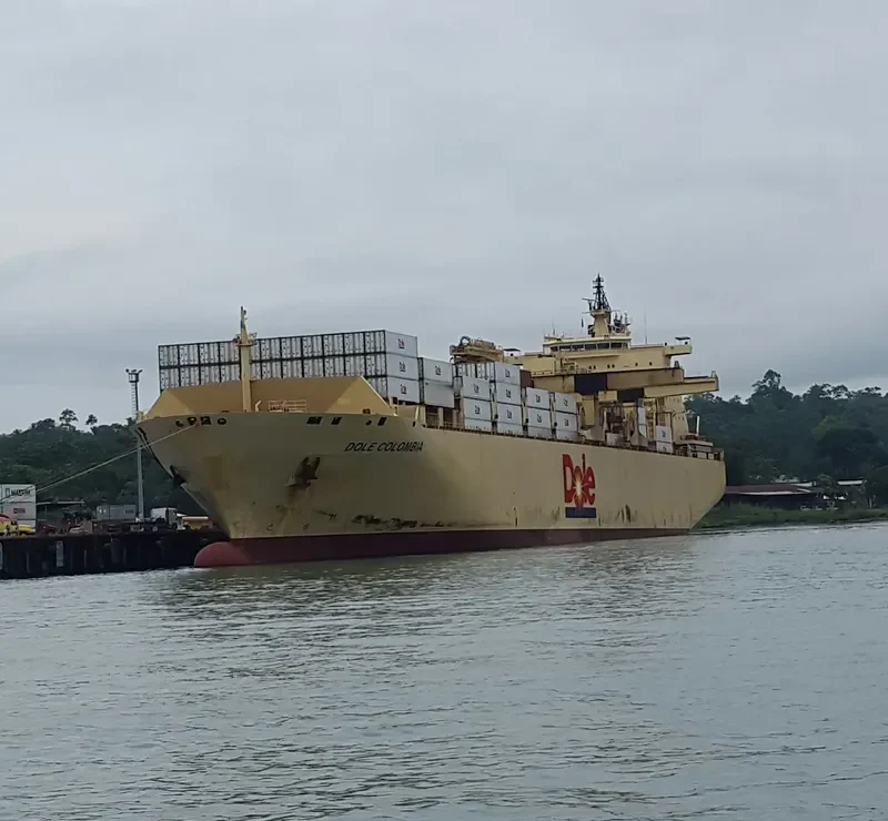 DOLE COLOMBIA Container Ship IMO 9185293 photo 6