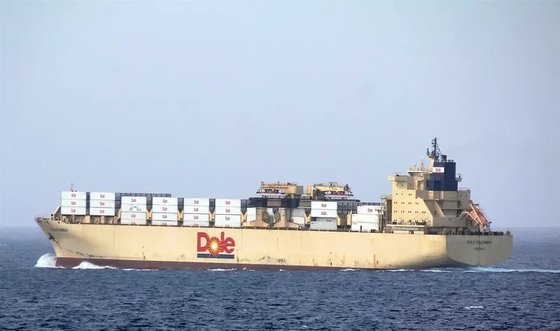 DOLE COLOMBIA Container Ship IMO 9185293 photo 7