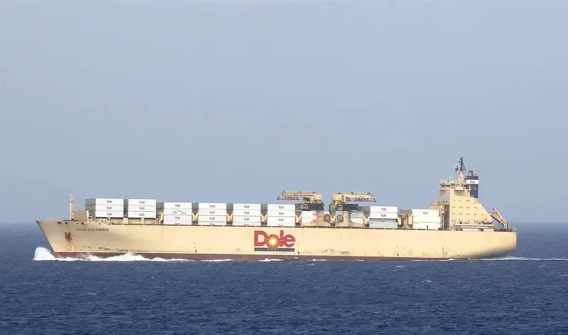 DOLE COLOMBIA Container Ship IMO 9185293 photo 8