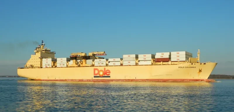 DOLE COLOMBIA Container Ship IMO 9185293 photo 9
