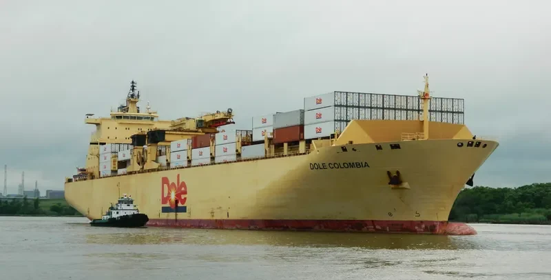 DOLE COLOMBIA Container Ship IMO 9185293 photo 10