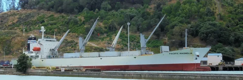 PACIFIC MAGNOLIA General Cargo IMO 9185334 photo 4
