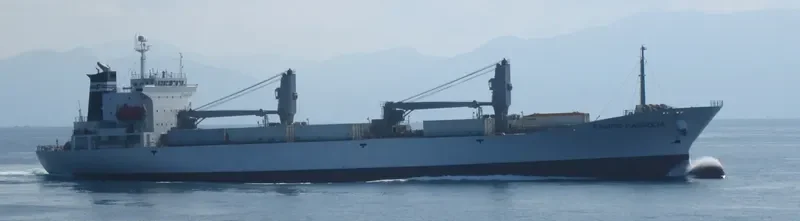 PACIFIC MAGNOLIA General Cargo IMO 9185334 photo 8