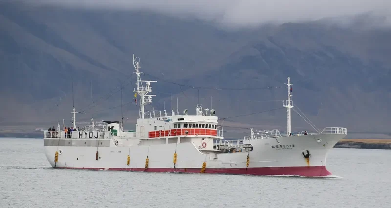ARKA 37 General Cargo IMO 9185372