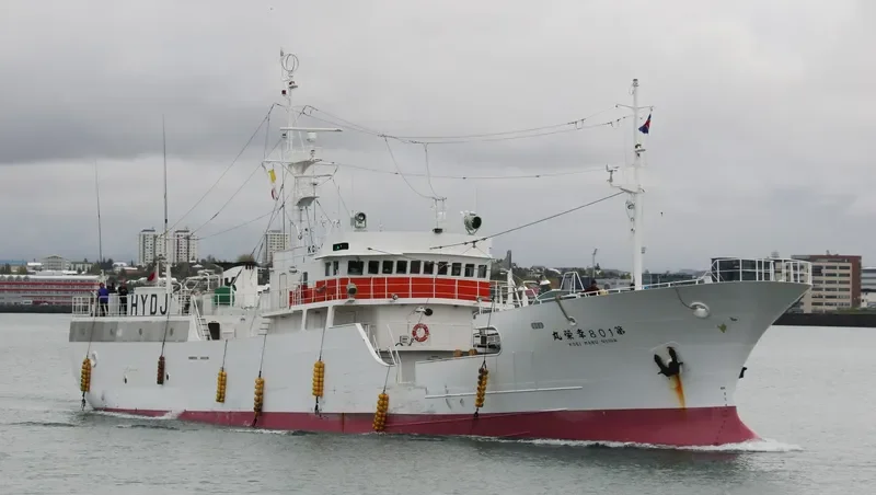 ARKA 37 General Cargo IMO 9185372 photo 2