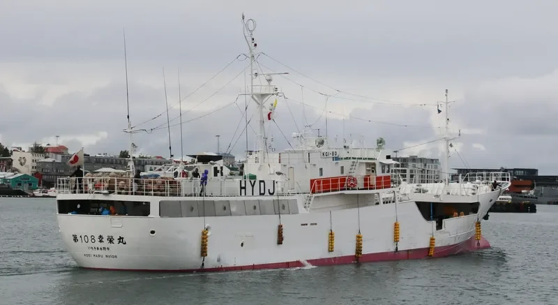 ARKA 37 General Cargo IMO 9185372 photo 3