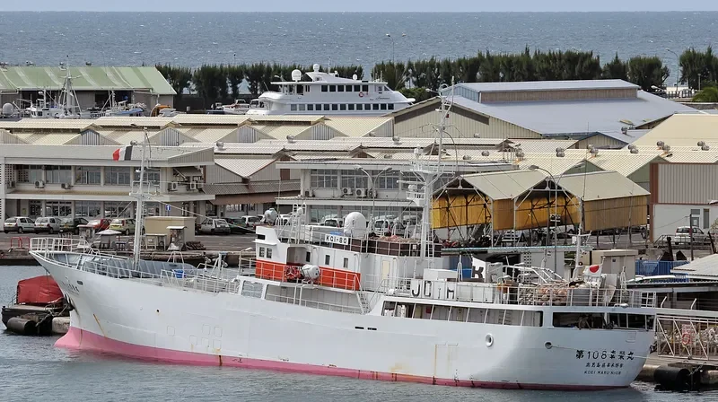 ARKA 37 General Cargo IMO 9185372 photo 5