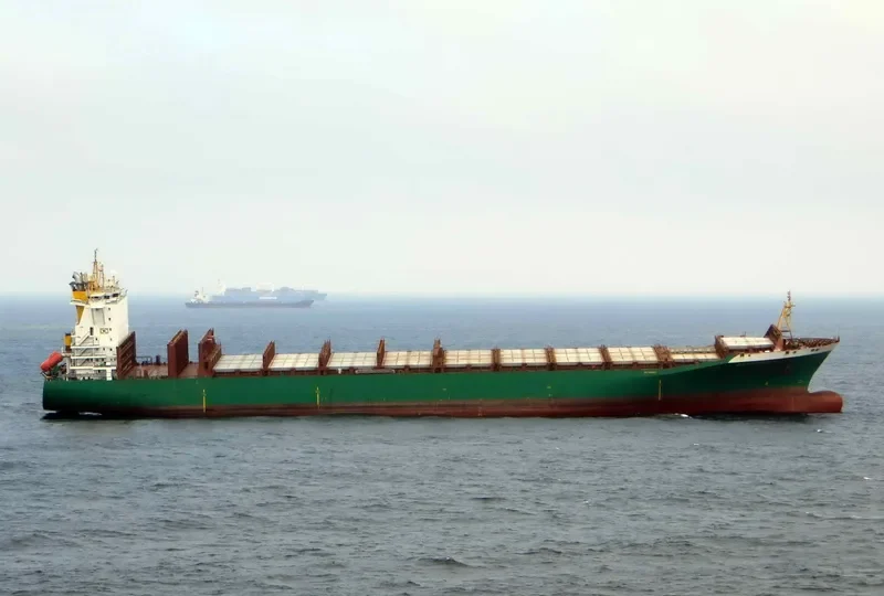XIN BIN ZHOU Container Ship IMO 9185413 photo 6