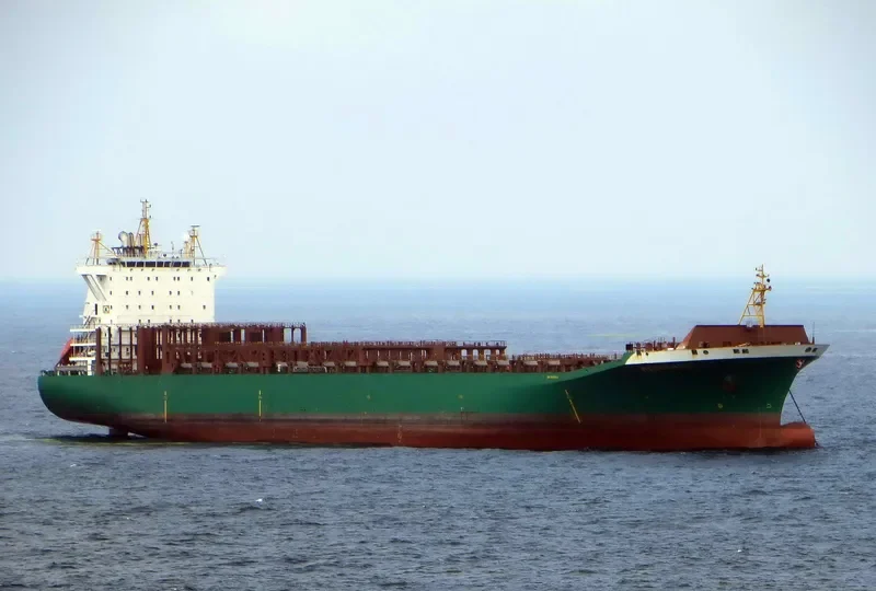 XIN BIN ZHOU Container Ship IMO 9185413 photo 7
