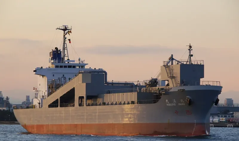 HOKUYO MARU Bulk Carrier IMO 9185475 photo 5