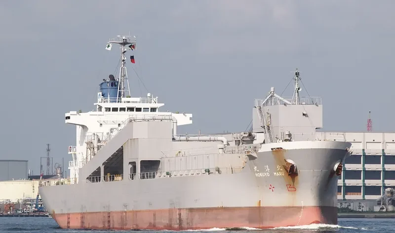 HOKUYO MARU Bulk Carrier IMO 9185475 photo 7