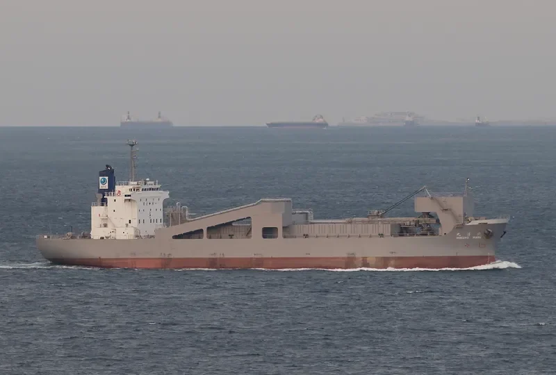 HOKUYO MARU Bulk Carrier IMO 9185475 photo 8