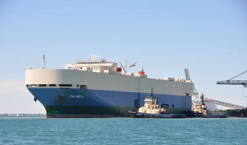 TINGARI General Cargo IMO 9185619 photo 10