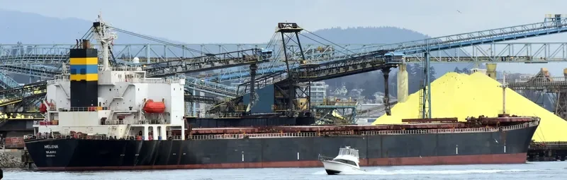 HC BEAUTY Bulk Carrier IMO 9185736