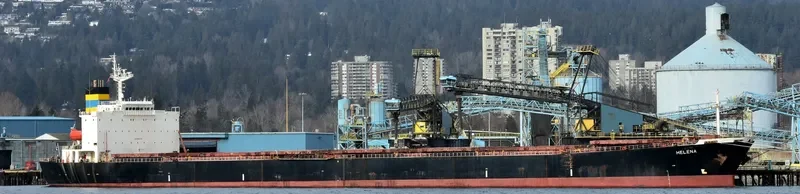 HC BEAUTY Bulk Carrier IMO 9185736 photo 2