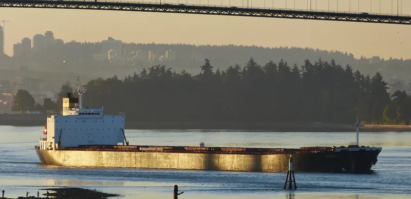 HC BEAUTY Bulk Carrier IMO 9185736 photo 3