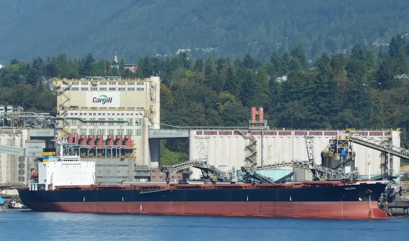 HC BEAUTY Bulk Carrier IMO 9185736 photo 4