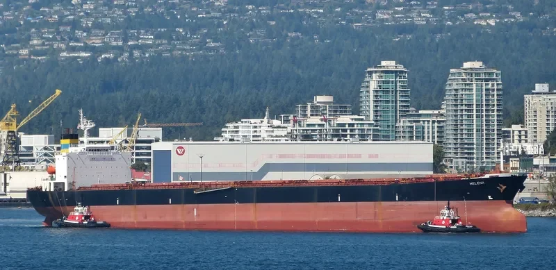 HC BEAUTY Bulk Carrier IMO 9185736 photo 7