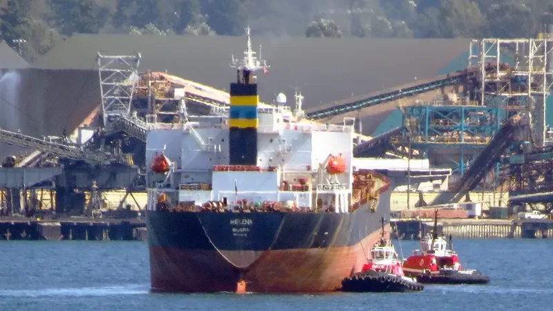 HC BEAUTY Bulk Carrier IMO 9185736 photo 8