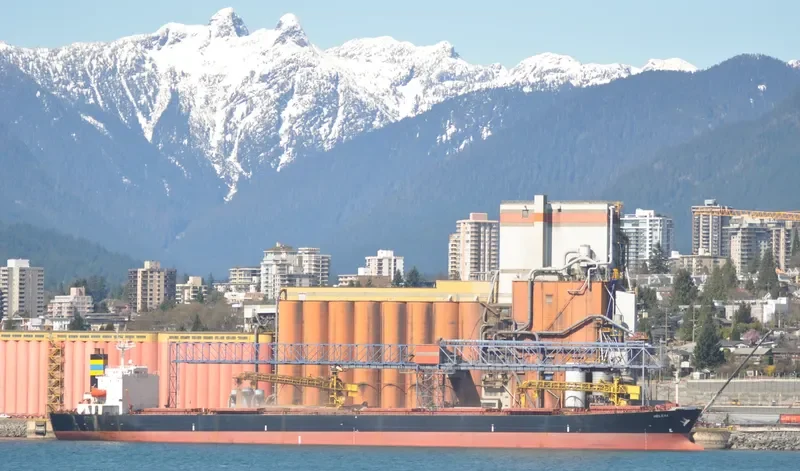 HC BEAUTY Bulk Carrier IMO 9185736 photo 9