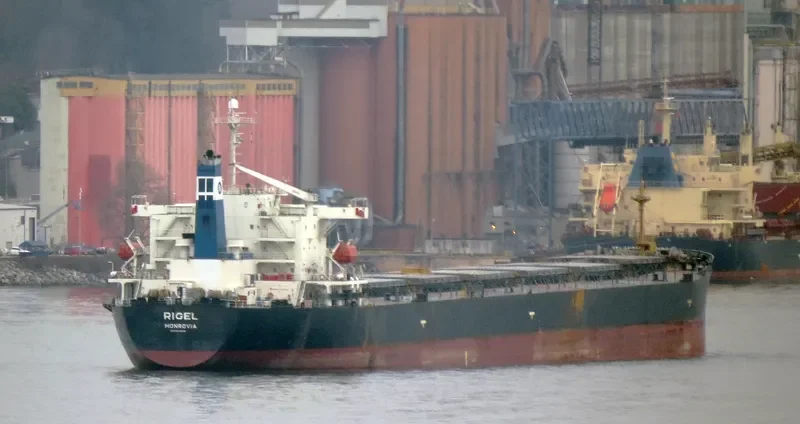 RIGEL Bulk Carrier IMO 9185748 photo 2