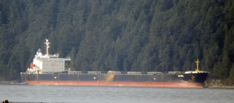 RIGEL Bulk Carrier IMO 9185748 photo 4