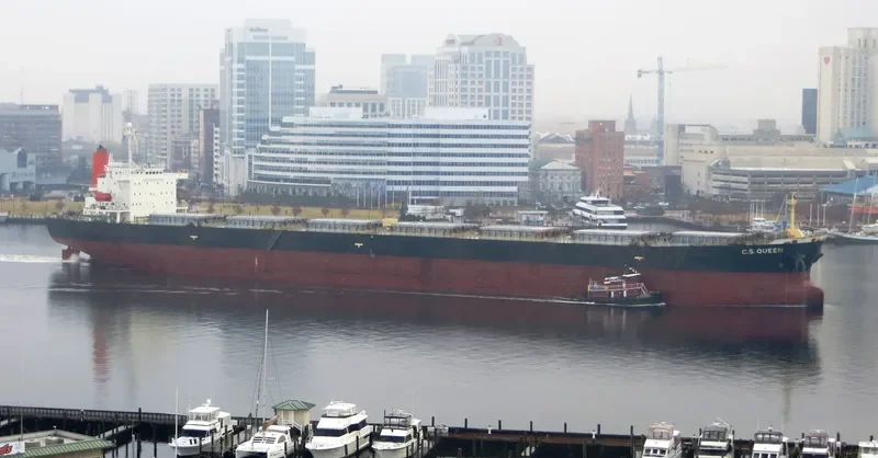 RIGEL Bulk Carrier IMO 9185748 photo 5