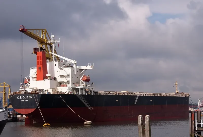 RIGEL Bulk Carrier IMO 9185748 photo 7