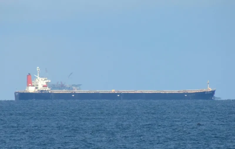RIGEL Bulk Carrier IMO 9185748 photo 9