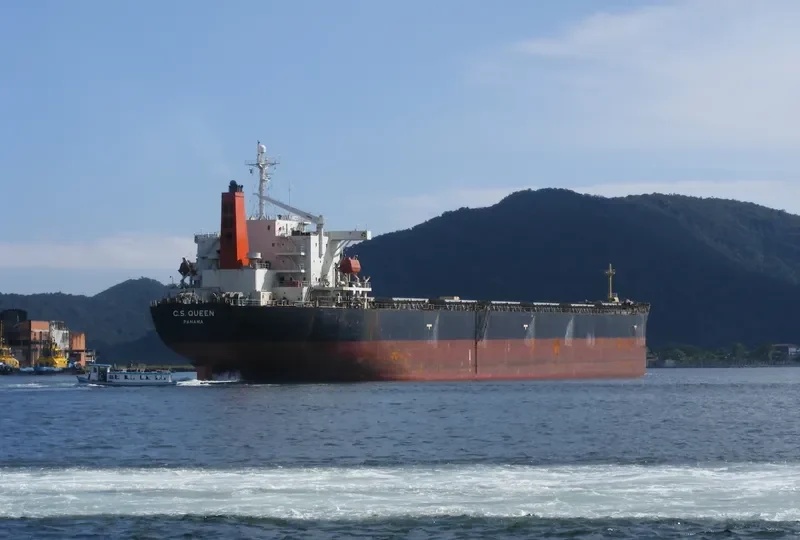 RIGEL Bulk Carrier IMO 9185748 photo 10