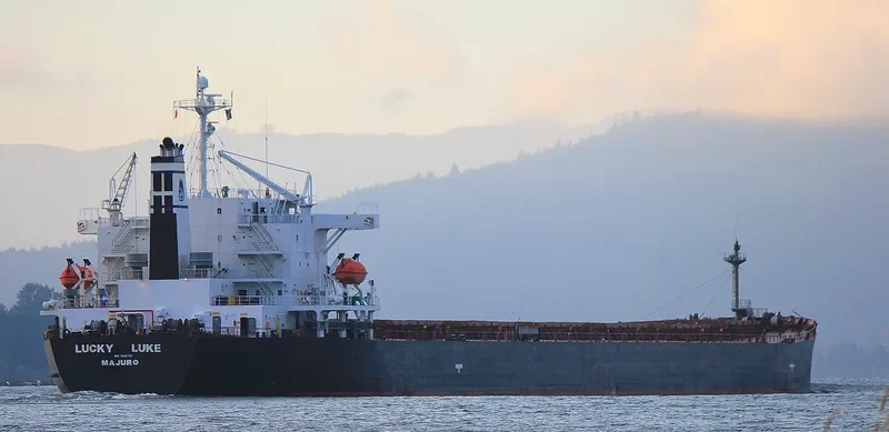 DONG JIANG HE Bulk Carrier IMO 9185750 photo 2