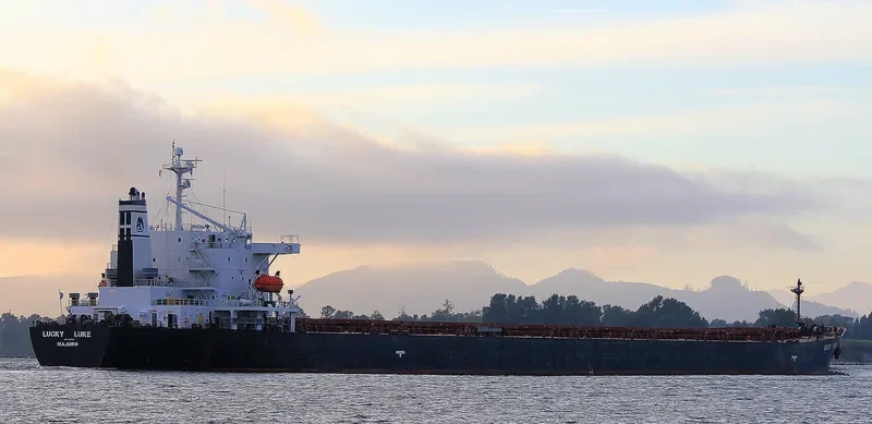 DONG JIANG HE Bulk Carrier IMO 9185750 photo 3
