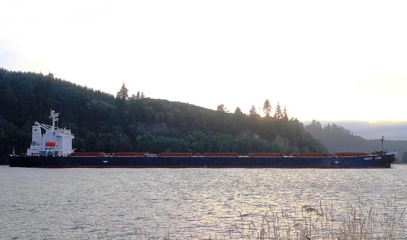 DONG JIANG HE Bulk Carrier IMO 9185750 photo 4