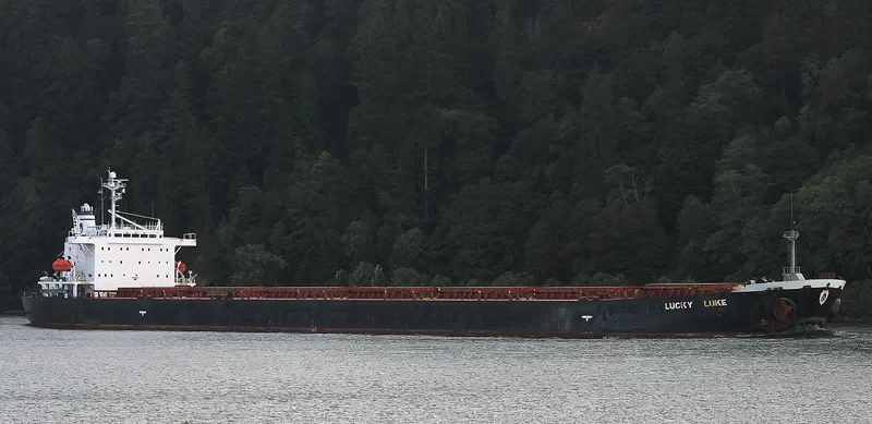 DONG JIANG HE Bulk Carrier IMO 9185750 photo 5
