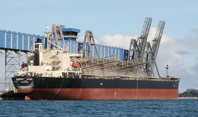 DONG JIANG HE Bulk Carrier IMO 9185750 photo 7