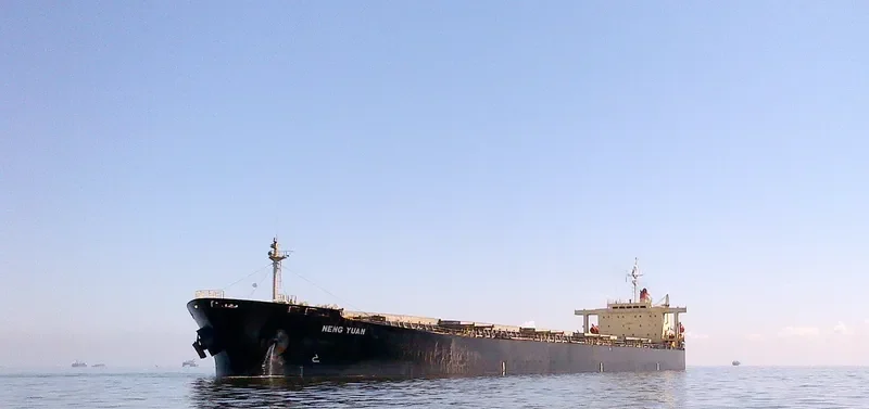 NENG YUAN Bulk Carrier IMO 9185762
