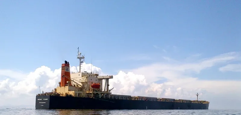 NENG YUAN Bulk Carrier IMO 9185762 photo 3