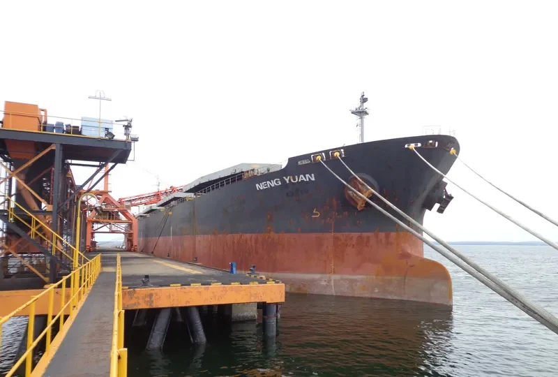 NENG YUAN Bulk Carrier IMO 9185762 photo 10
